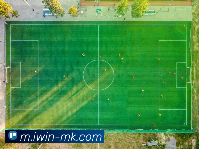 MK体育APP 封面图